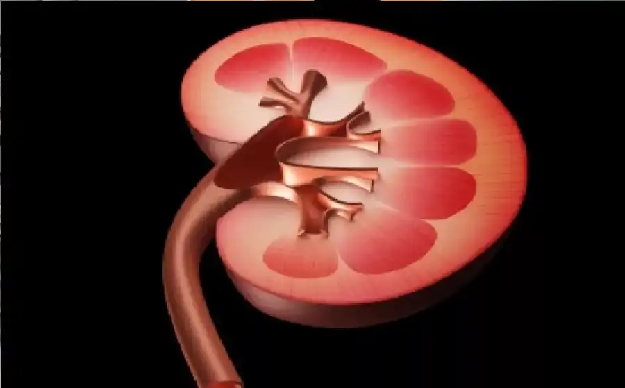 مدار الساعة,أخبار الصحة والأسرة