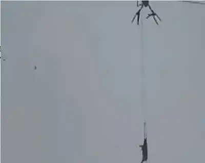 أغرب حادثة في الصين.. مزارع يقطع