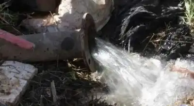 حملة أمنية كبيرة بالشونة الجنوبية لإزالة