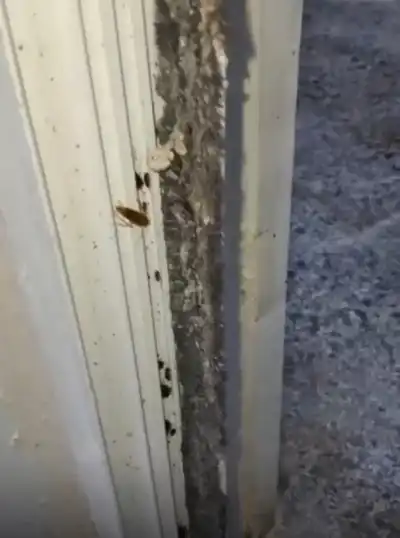 إغلاق مخبز في أحد المولات بسبب