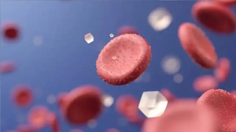 مدار الساعة,أخبار الصحة والأسرة