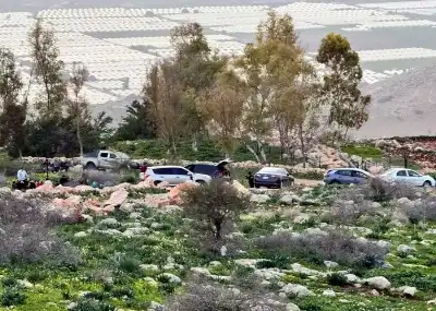 عجلون: ربيع مبكر يعزز الحركة السياحية