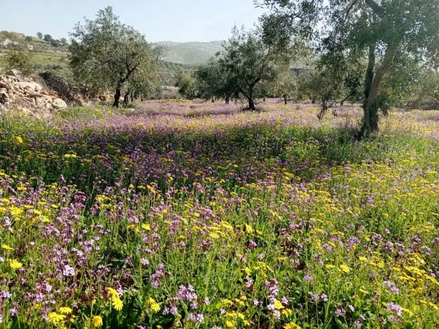 مدار الساعة,أخبار الأردن,اخبار الاردن