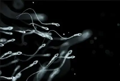 دراسة طبية تحذر: خصوبة الرجال تبدأ