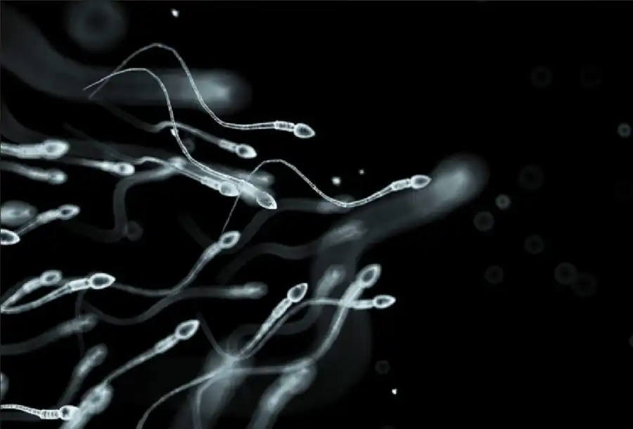 مدار الساعة,أخبار الصحة والأسرة