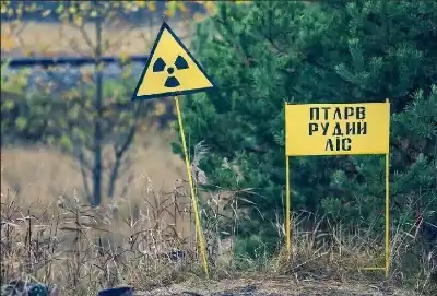 دراسة ألمانية تكشف أثر إشعاع تشيرنوبيل