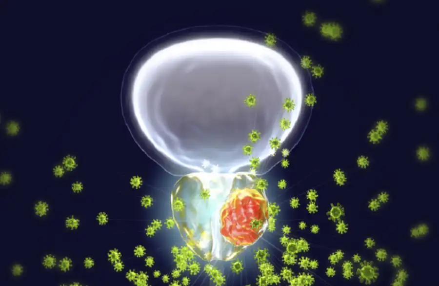 مدار الساعة,أخبار الصحة والأسرة