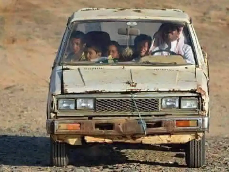 الحجاج يكتب: ذاكرة السمكة عند الأردنيين