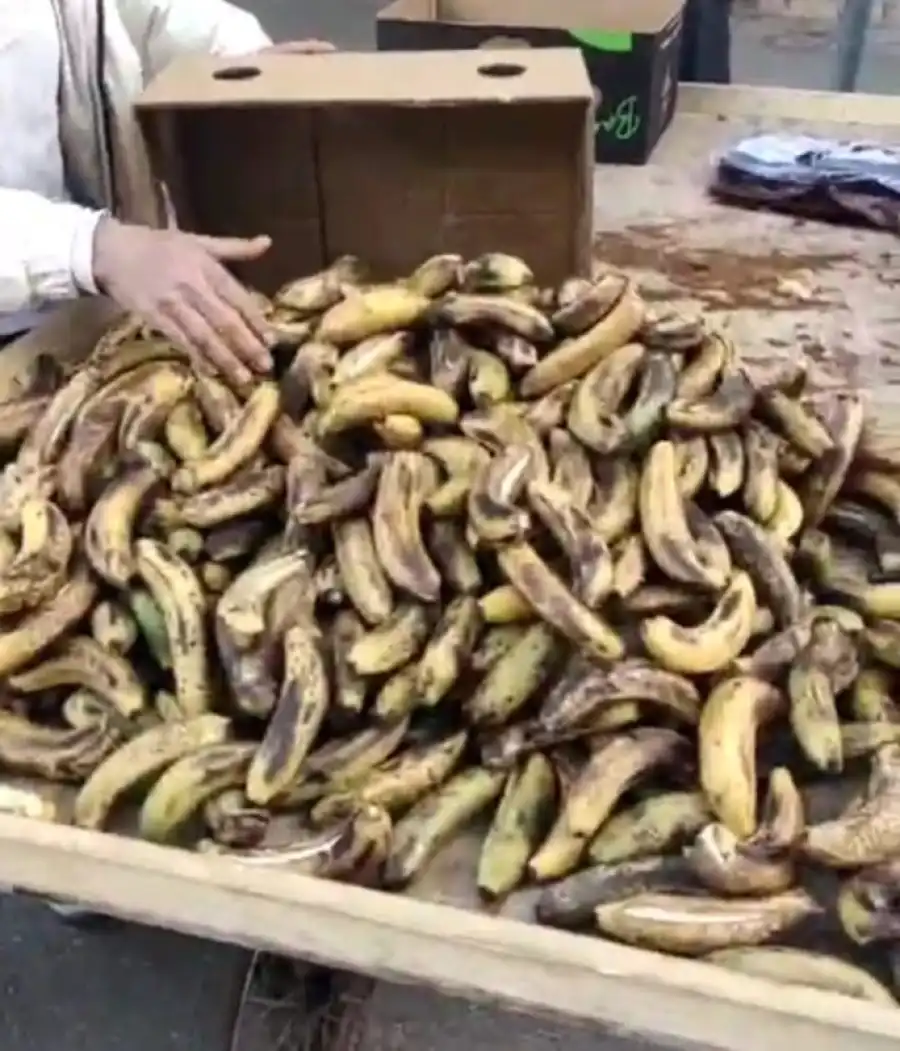 مدار الساعة,أخبار الأردن,اخبار الاردن