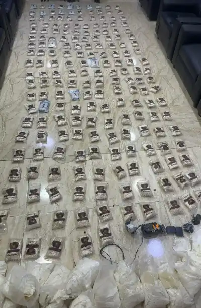 الجيش الأردني: تمكنا من رصدها والتعامل