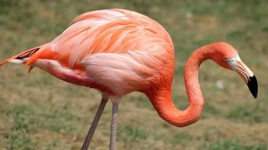 مدار الساعة,أخبار خفيفة ومنوعة