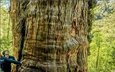 علماء يكشفون عن عالم خفي تحت