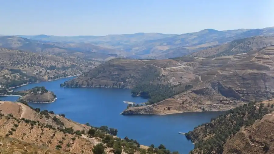 مدار الساعة,أخبار الأردن,اخبار الاردن,القوات المسلحة الأردنية,وزارة المياه والري,سلطة وادي الأردن,وزارة الزراعة,وزارة المياه,وادي الأردن,القوات المسلحة,الجيش العربي