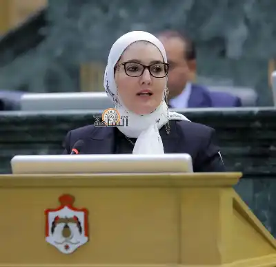 النائب ناصر الدين: ترشيد الإنفاق في