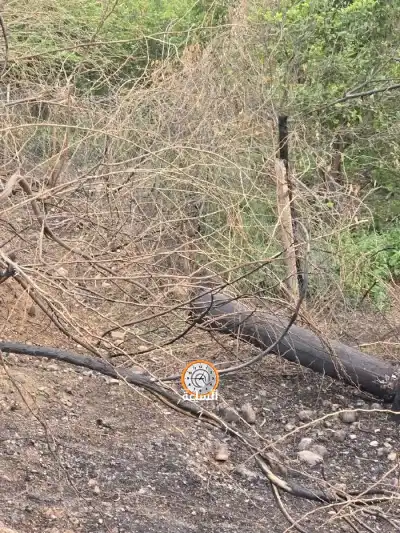 الفرق الميدانية تعمل على إعادة التيار