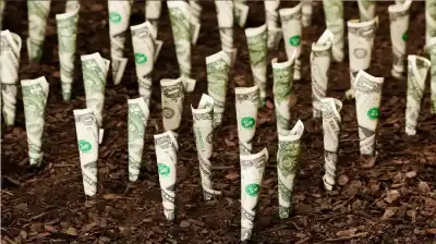 الذكاء الاصطناعي يفك لغز بروتينات القش