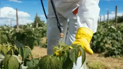 كشف السلاح السري للبكتيريا التي تستنزف