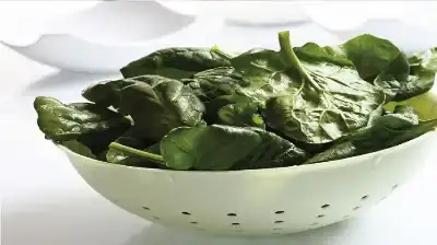 السبانخ بين الفوائد والأضرار.. كيف يؤثر