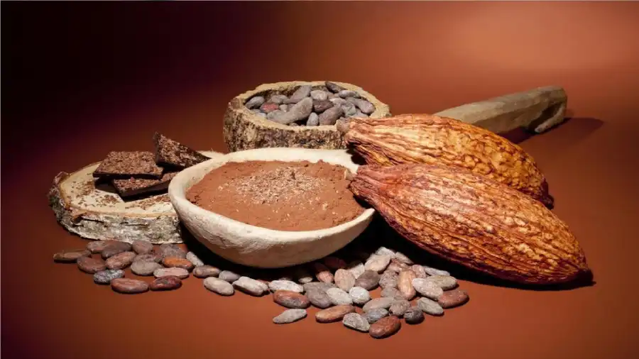 مدار الساعة,أخبار الصحة والأسرة