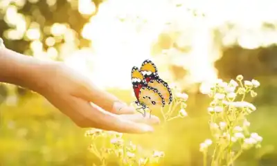 تقرير صادم يكشف 33 نوعا من