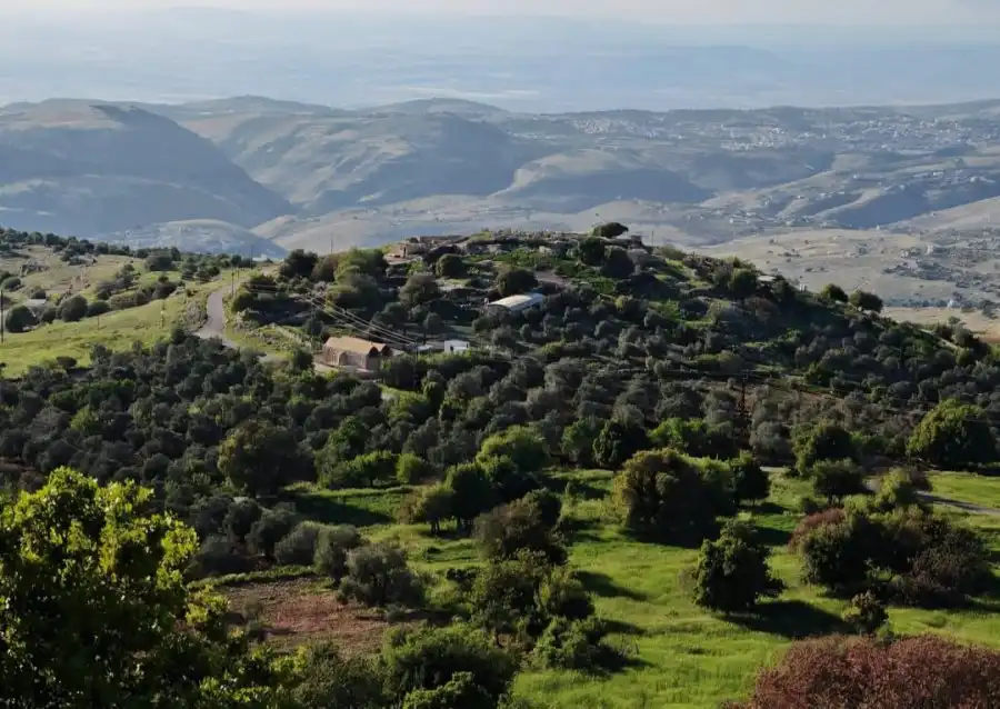 مدار الساعة,أخبار الأردن,اخبار الاردن,أخبار السياحة في الأردن,مديرية الأمن العام,الأمن العام,أمانة عمان,الإدارة الملكية لحماية البيئة