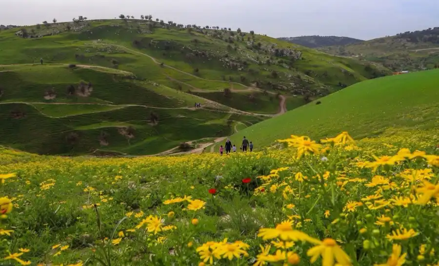 مدار الساعة,أخبار الأردن,اخبار الاردن,أخبار السياحة في الأردن,وزارة السياحة والآثار,وزارة السياحة,هيئة تنشيط السياحة,المملكة العربية السعودية