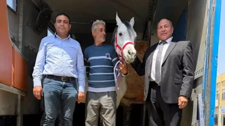 مدار الساعة,أخبار الأردن,اخبار الاردن,وزير الزراعة