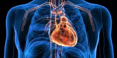 باحثون يحلون اللغز: لماذا لا يصيب