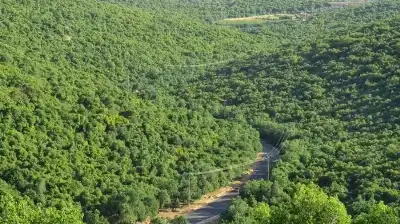 دمج التوعية بالحلول الذكية .. خارطة