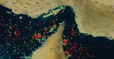 البنك الدولي يتوقع قفزة بـ 24%