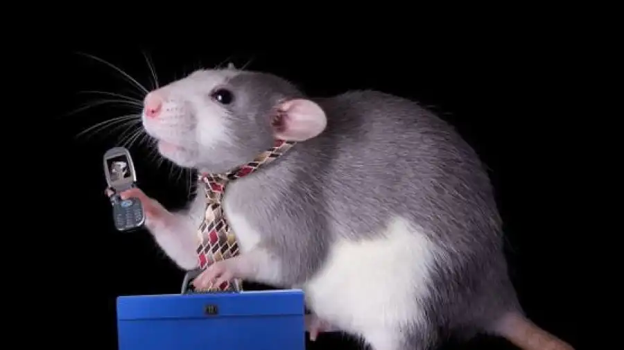 مدار الساعة,أخبار خفيفة ومنوعة