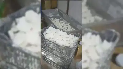 مؤسسة الغذاء والدواء: إغلاق مشغل أجبان
