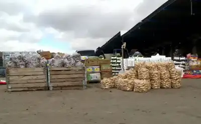 أسعار الخضار والفواكه في السوق المركزي