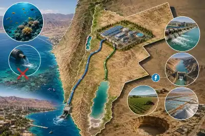 أكاديمي ومهندس يقدمان أسبابا مقنعة لتكون