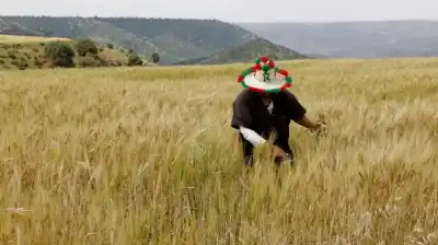 بعد سبع سنوات من الجفاف.. المغرب