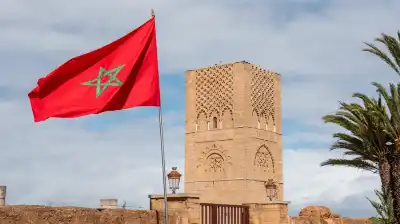 الملك محمد السادس يعفو عن المشجعين