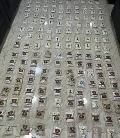 الجيش الأردني: أحبطناها وأسقطنا البالونات