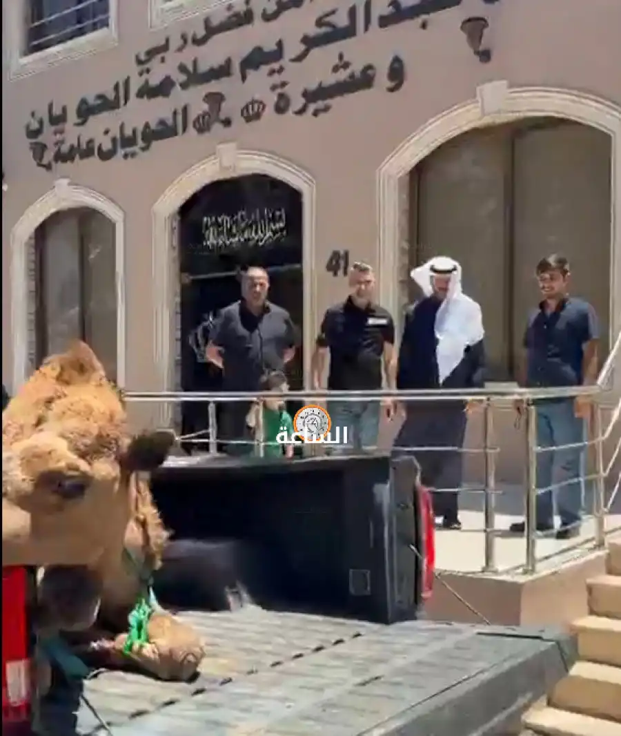 مدار الساعة,Video,فيديو,أخبار المجتمع الأردني,مناسبات أردنية