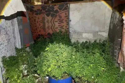 سيجارة حشيش و16 عاما من الضياع..