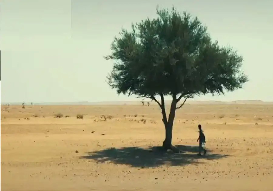 مدار الساعة,شؤون دينية