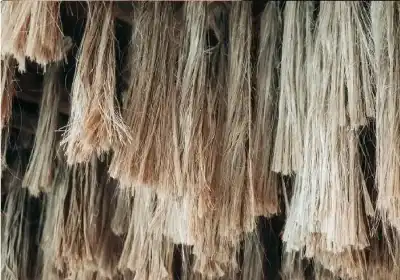 من الحقول إلى منصات الموضة.. كيف