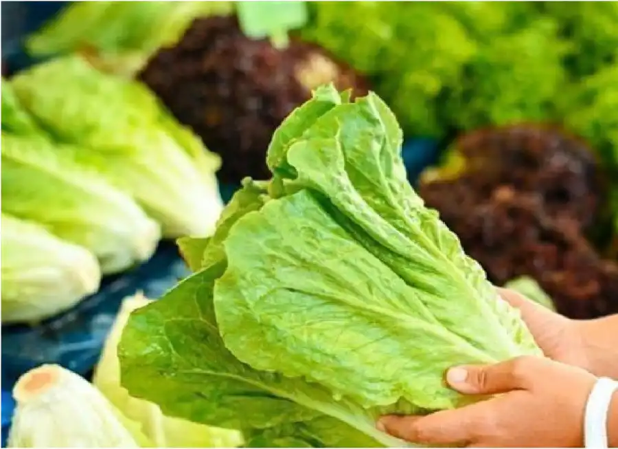 مدار الساعة,أخبار خفيفة ومنوعة