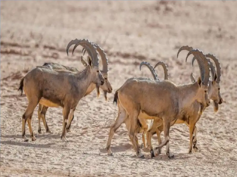مدار الساعة,أخبار خفيفة ومنوعة,درجات الحرارة