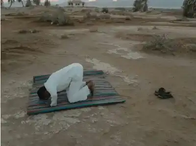 صلاة الأوابين: دليل شامل لفضل صلاة
