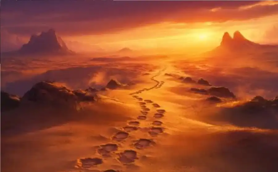 مدار الساعة,شؤون دينية,حماية الأسرة