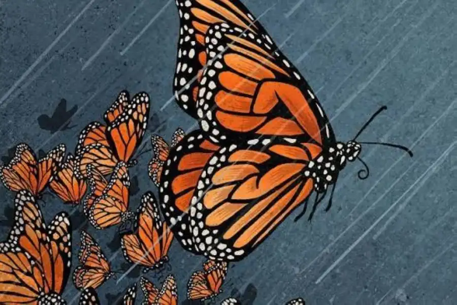مدار الساعة,أخبار خفيفة ومنوعة
