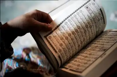 الفطرة والعقل.. لماذا تستحيل الحياة دون