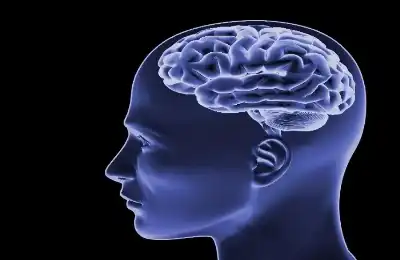 الدماغ مصنع لا يتوقف.. عالمة تشرح