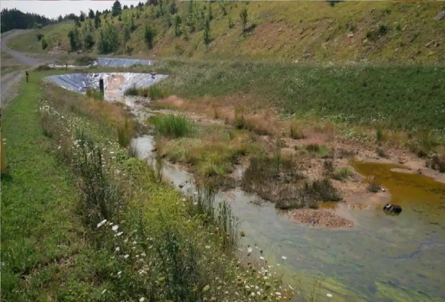 مدار الساعة,أخبار خفيفة ومنوعة