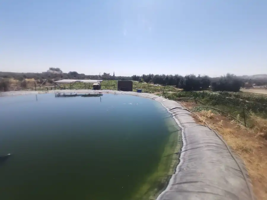 مدار الساعة,Video,فيديو,أخبار الأردن,اخبار الاردن,وزارة المياه والري,سلطة المياه,وزارة الداخلية,مديرية الأمن العام,وزارة المياه,الأمن العام,الإدارة الملكية لحماية البيئة